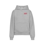 Alpha Omicron Pi Fave Fit Hoodie