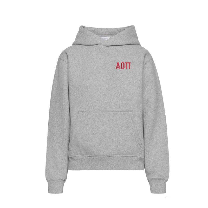 Alpha Omicron Pi Fave Fit Hoodie