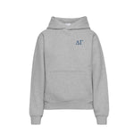 Delta Gamma Fave Fit Hoodie